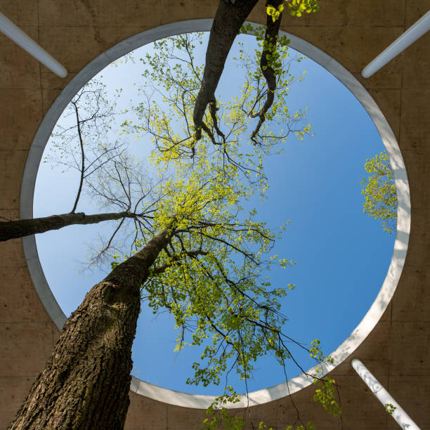 Home perfect nature integration into modern architecture.